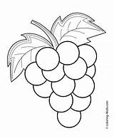 Coloring Pages Kids Grapes Fruits Printable Vegetable Fruit Colouring Drawing Spring Easy Sheets 4kids Drawings Preschool sketch template