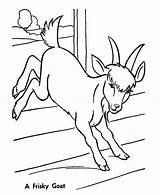 Goat Coloring Pages Baby Frisky Goats Color Printable Online Farm Getcolorings Print Young sketch template