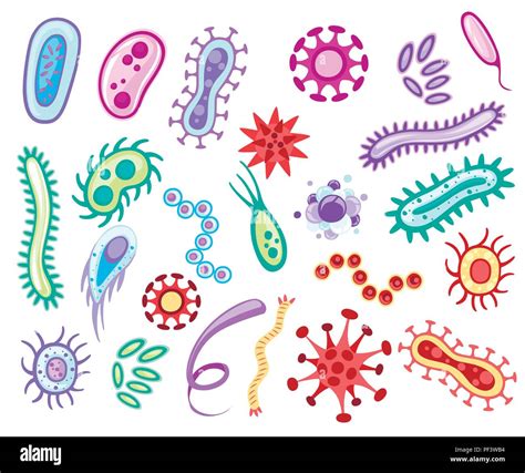 Las Bacterias Y Los Virus Coloridas Colecciones De Microorganismos