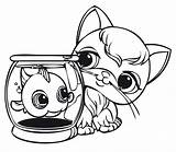Cat Coloring Print Lps Pages Cute Popular sketch template