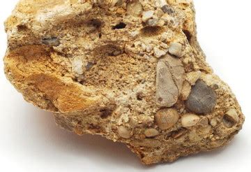 sedimentary rock specimens