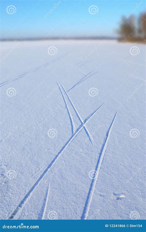 ski trail stock photo image  lake morning skiing