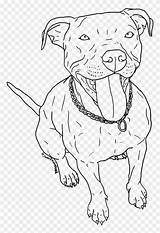 Pitbull Pit Husky Pngfind Draw Bulls Hund Webstockreview Bebé Malen sketch template