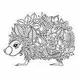 Johanna Basford Colouring Pages Coloring sketch template