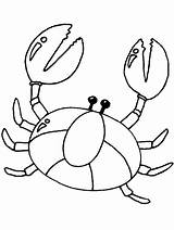 Crab Coloring Pages Cartoon Crabs Realistic Print Color sketch template
