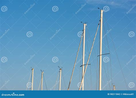 masts   clear sky stock photo image  boats sailboat