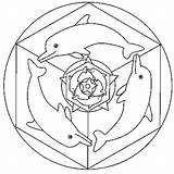 Mandala Dauphin Coloriage Imprimer Dessin Colorier Coeur Dauphins Pointes sketch template