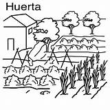 Huerta Huertos Huerto Huertas Colorea Cultivo Dibujo Idibujosparacolorear Agricultura Colegio Serpentina Isidro sketch template