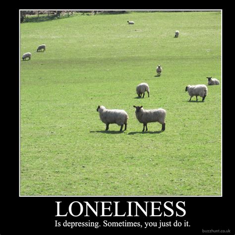 funny quotes  loneliness quotesgram