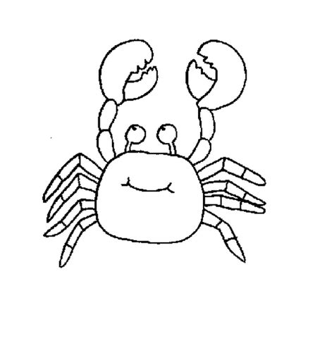 easy sea animal coloring pages  kids kids art craft