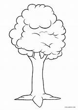 Tree Coloring Pages Printable Kids Cool2bkids sketch template