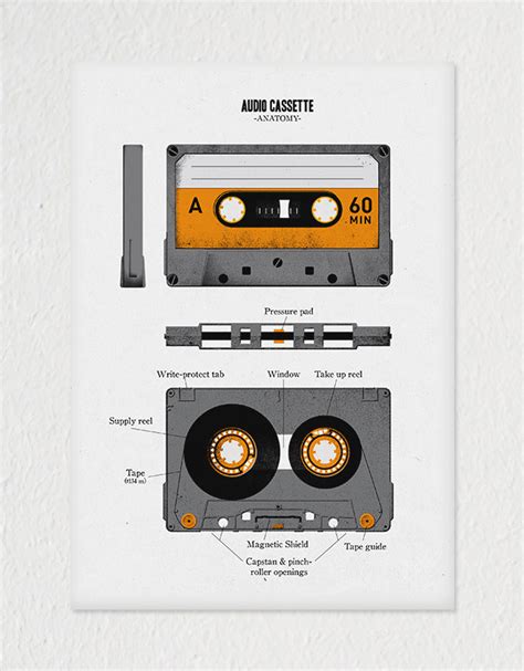 anatomy   audio cassette tape