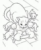 Cats Coloring Kittens Pages Printable Filminspector sketch template