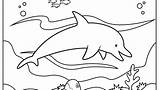 Dolphin Coloring Pages Realistic Getdrawings Cute Getcolorings sketch template