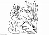 Coloring Pond Pages Frogs Two Printable Kids Scene Adults Template sketch template