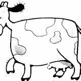 Lechera Vaca Vacas Pintar sketch template