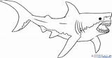 Shark Coloring Megalodon Great Pages Drawing Bull Outline Cartoon Realistic Print Color Printable Line Jaw Sketch Sharks Paintingvalley Clipart Getcolorings sketch template