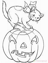 Kot Kolorowanki Halloweenowy Bestcoloringpagesforkids Lantern Dzieci Dla Colouring Wydrukowania sketch template