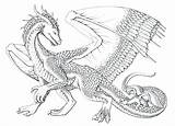 Dragon Coloring Pages Adults Cool Realistic Color Dragons Ice Printable Kids Colouring Book Sheets Water Designs Fire Choose Board Drawing sketch template