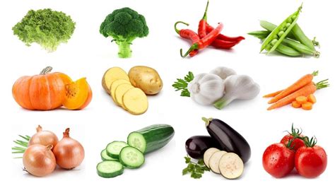picture  vegetables illustration  seasonal fruits  vegetables
