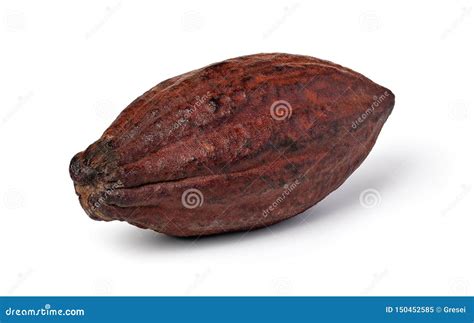 cocoa pod   white background stock image image  food ripe