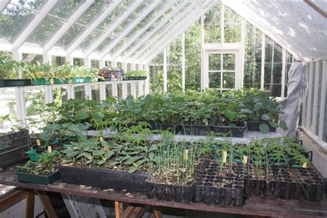freestanding greenhouses   plants dengarden
