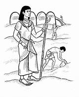 Testament Famine Ot Bibel Saves Altes Imagui Pharaoh Ausmalbild Charge Mewarnai Buku Cerita Lama Perjanjian Iklan Azcoloring Letzte sketch template
