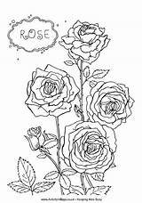 Rose Coloring Pages Colouring St Roses George Flower Activity Red Village Activityvillage Flowers Children Georges Summer Activities Medium Become Printables sketch template