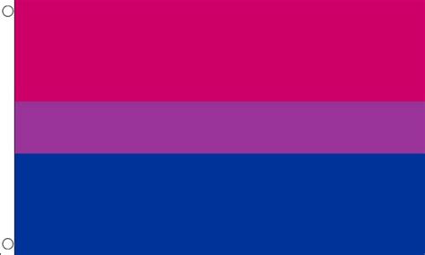 Bi Pride Flag 5 X 3 Ft Gay Pride Rainbow Bi Sexual Lgbtq Ebay