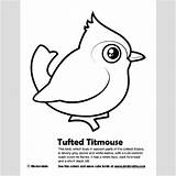 Titmouse Designlooter Birdorable sketch template