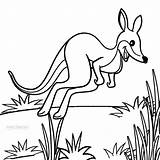 Kangaroo Coloring Printable Tree Cool2bkids Getcolorings sketch template
