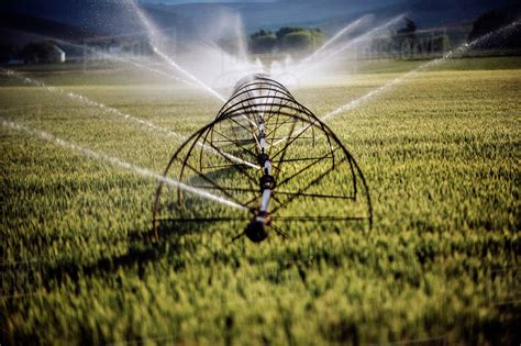 irrigation system watering crops  farm field stock photo dissolve