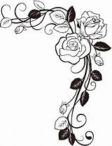 Rose Corner Vine Clipart Border Flower Clip Library Drawings Paper Project Cliparts sketch template