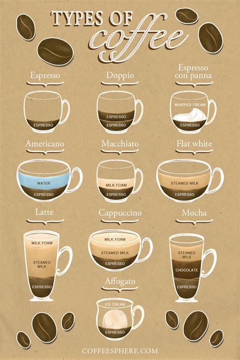 guide   popular types  coffee