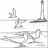 Coloring Coastline Designlooter Lighthouse Pages Remarkable Printable sketch template