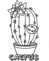 Kaktus Kolorowanki Kolorowanka Druku Kwiaty Doniczce Topcoloringpages Kwiat Wydruku Drukowania Tulipan Darmowe Lobivia Wiosenne Coloringfolder Wydrukuj Kolorowankę sketch template