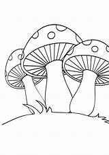 Mushroom Coloring Pages Printable Set Parentune Worksheets Books sketch template