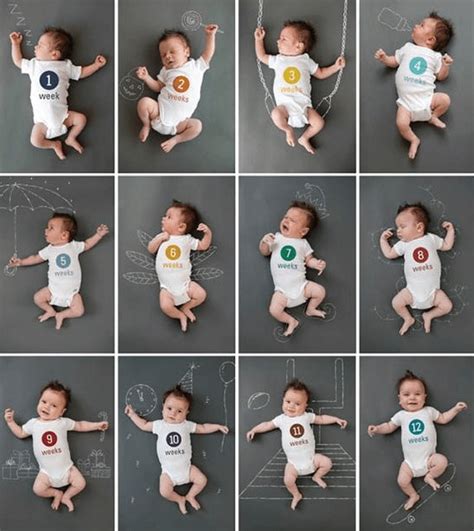 fotos mês a mês do bebê inspirações para você fazer com o seu filhote