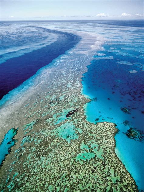 australia unveils  plan  protect great barrier reef   york