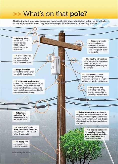 power pole anatomy google search electric power distribution basic electrical wiring