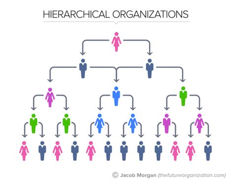 types  organizational structures part   hierarchy