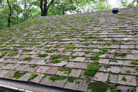 clean  dirty roof  helpful illustrated guide west