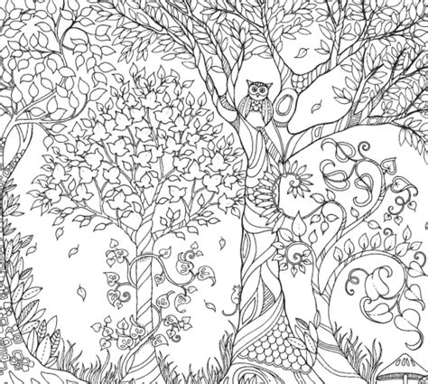 secret garden coloring book review
