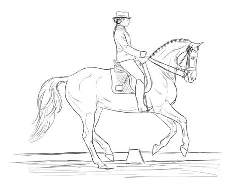 dressage horse coloring pages sketch template horse coloring pages