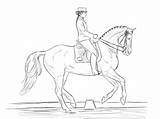 Dressage Horse Coloring Pages Horses Color Sketch Drawings Colouring Template Outline Printable Print Deviantart Animal Choose Board sketch template