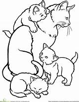 Cat Coloring Kittens Pages Mother Kitten Kids Drawing Clipart Family Colouring Printable Mommy Sheets Color Animal Cats Realistic Print Clip sketch template