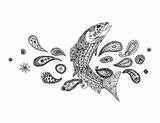 Trout Coloring Adult sketch template