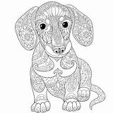 Adult Colouring Dog Mandala Pages Coloring Choose Board Animal Books Animals Dachshund sketch template