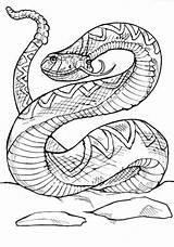 Serpente Sonagli Rattlesnake Viper Rettili Animali sketch template