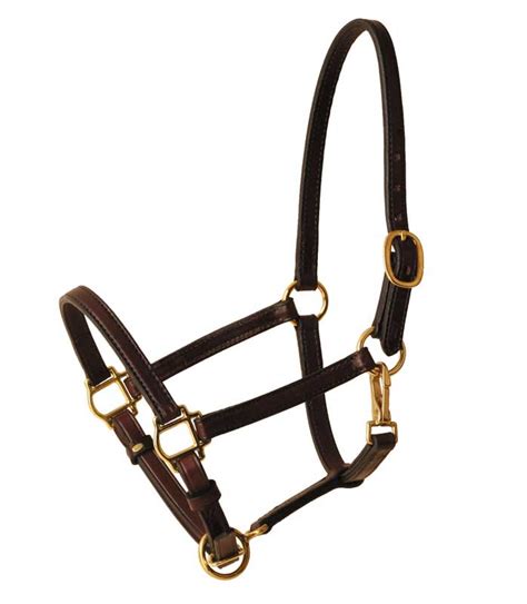 tory  size leather halter